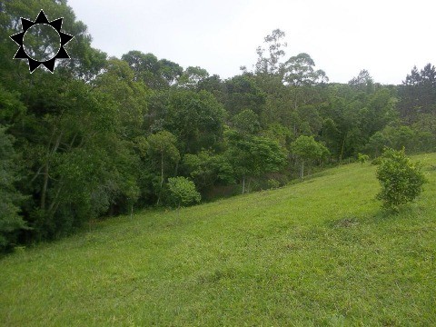 Fazenda à venda com 3 quartos, 200m² - Foto 3