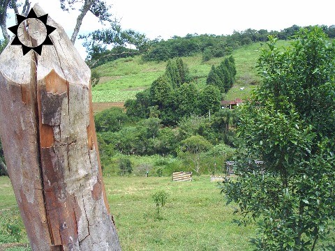 Fazenda à venda com 3 quartos, 200m² - Foto 10