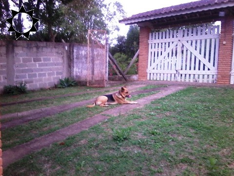 Fazenda à venda com 3 quartos, 300m² - Foto 11