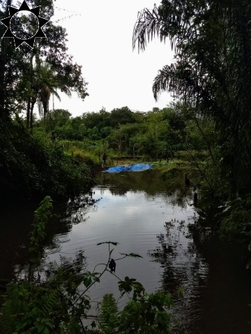 Fazenda à venda com 3 quartos, 106m² - Foto 10