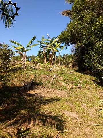 Fazenda à venda com 3 quartos, 106m² - Foto 23