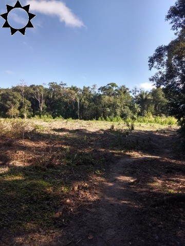 Fazenda à venda com 3 quartos, 106m² - Foto 31