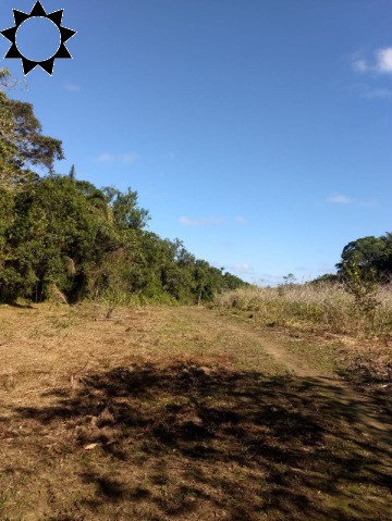 Fazenda à venda com 3 quartos, 106m² - Foto 33