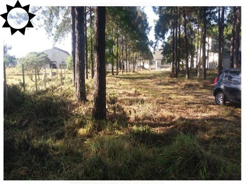 Depósito-Galpão-Armazém à venda e aluguel, 9000m² - Foto 31