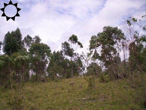 Loteamento e Condomínio à venda, 300000m² - Foto 5