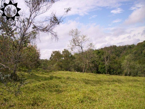 Loteamento e Condomínio à venda, 300000m² - Foto 11