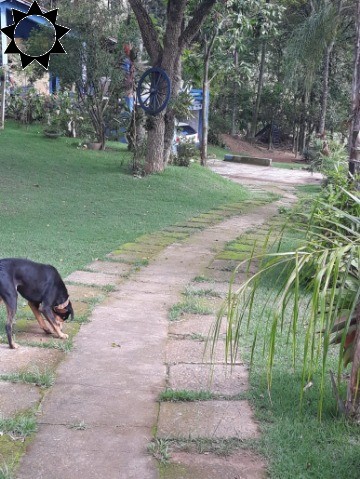 Fazenda à venda com 2 quartos, 130m² - Foto 4