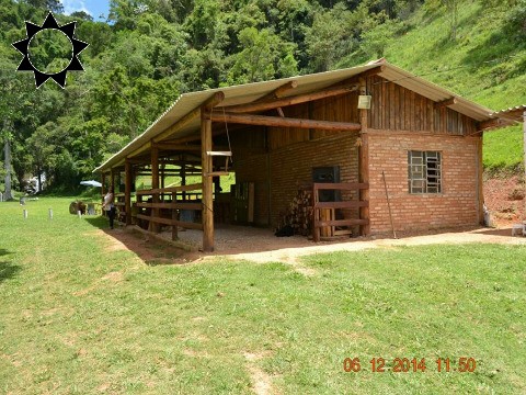 Fazenda à venda com 4 quartos, 35400m² - Foto 6