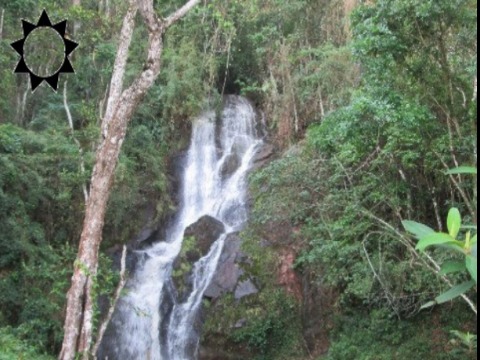 Fazenda à venda com 4 quartos, 35400m² - Foto 17