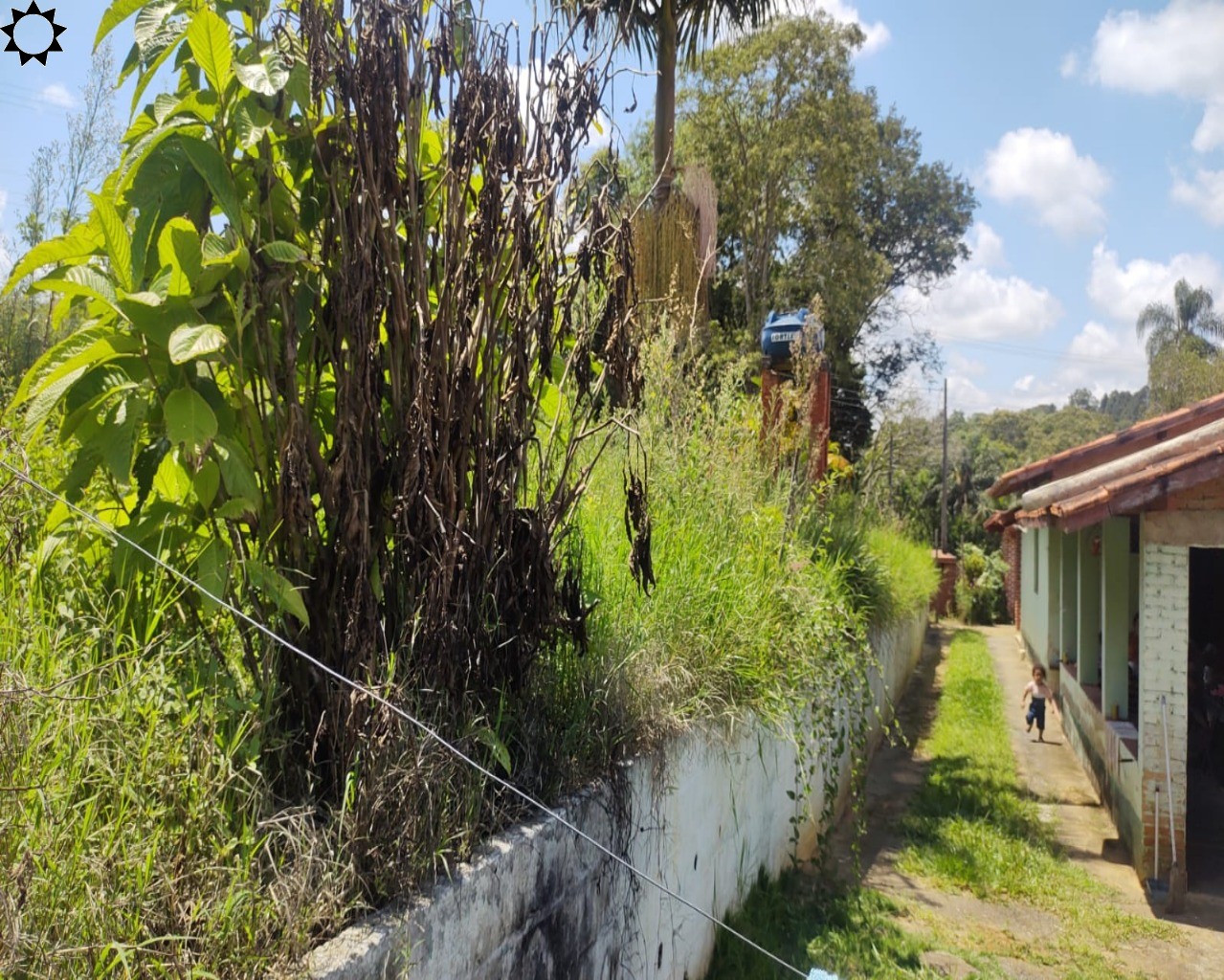 Fazenda à venda com 2 quartos, 3850m² - Foto 12