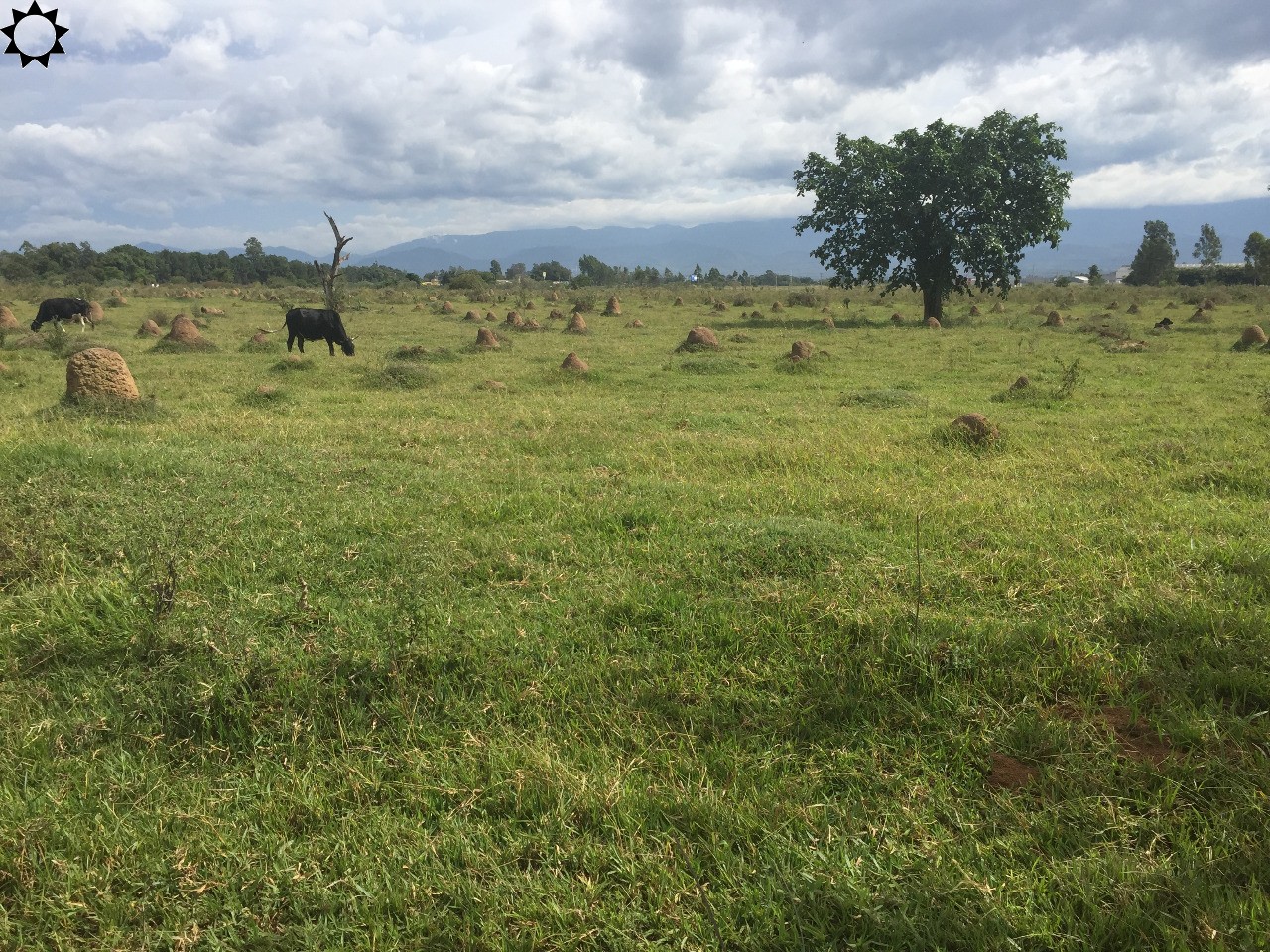 Loteamento e Condomínio à venda, 800000m² - Foto 20