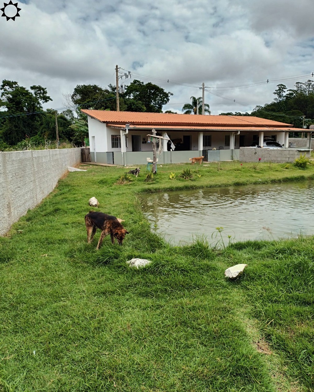 Fazenda à venda com 4 quartos, 1300m² - Foto 1