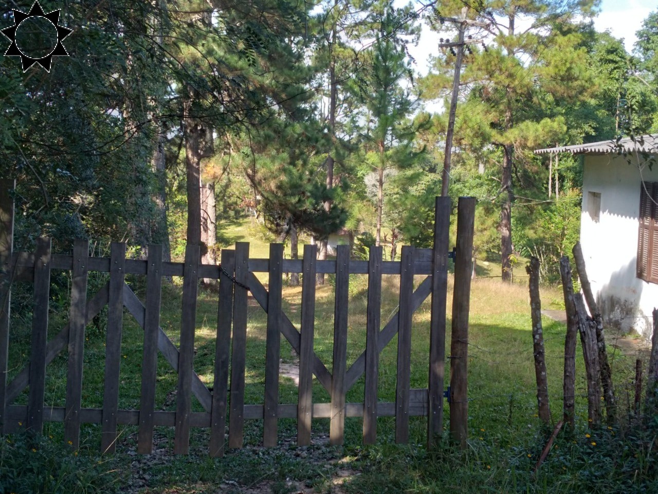 Fazenda à venda com 3 quartos, 250m² - Foto 8