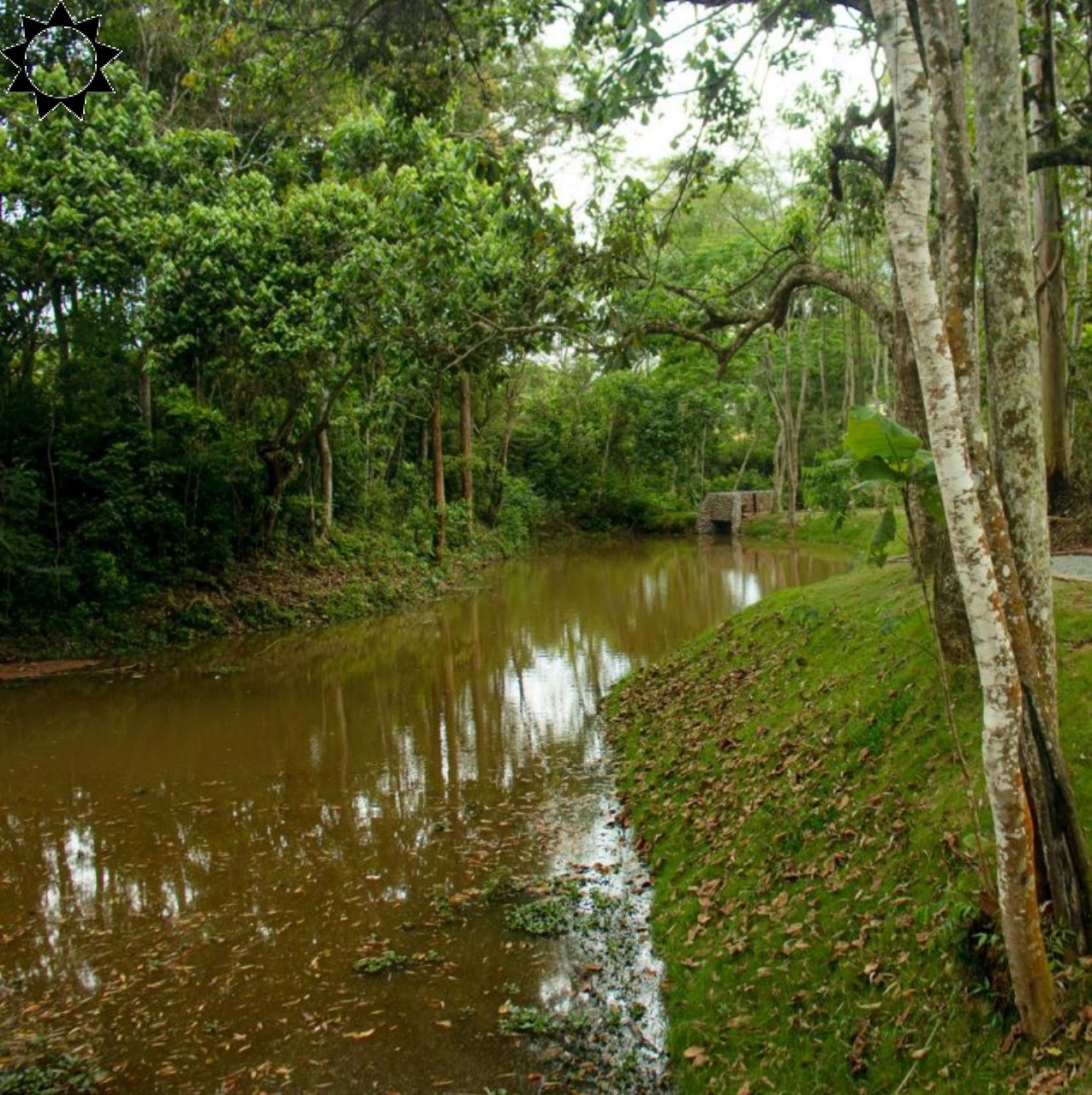 Terreno à venda, 500m² - Foto 25