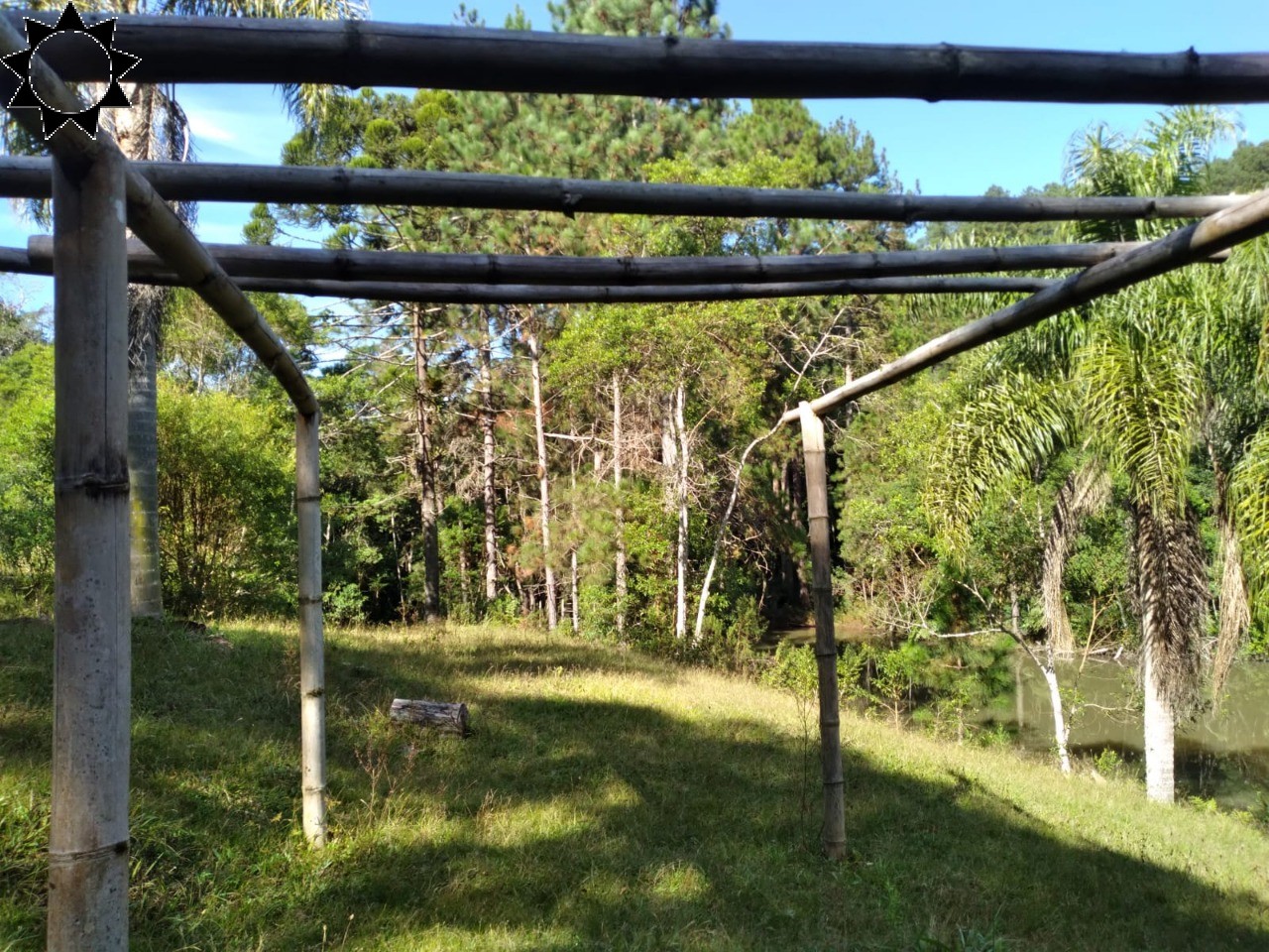 Fazenda à venda com 3 quartos, 250m² - Foto 5