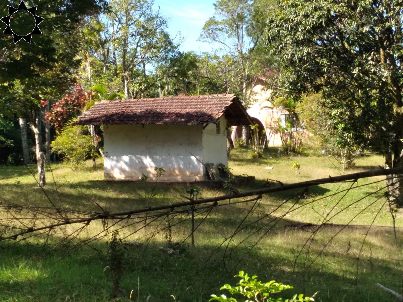 Fazenda à venda com 3 quartos, 250m² - Foto 10