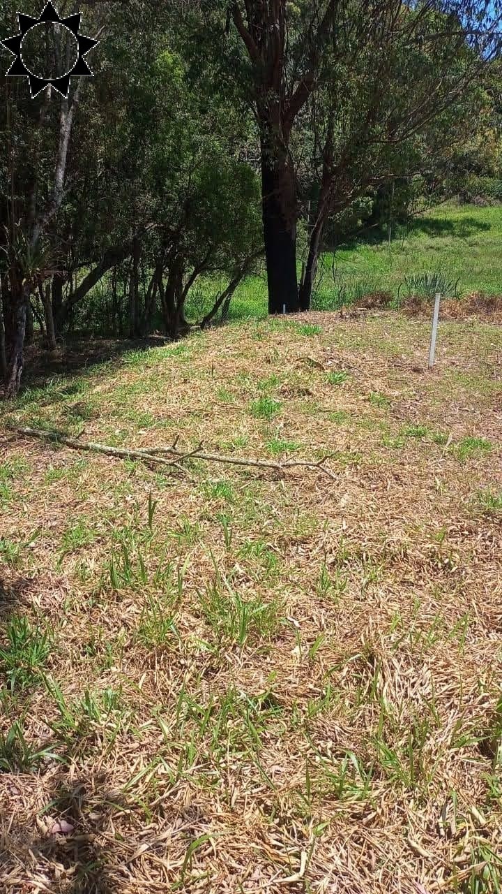 Fazenda à venda com 1 quarto, 1084m² - Foto 8