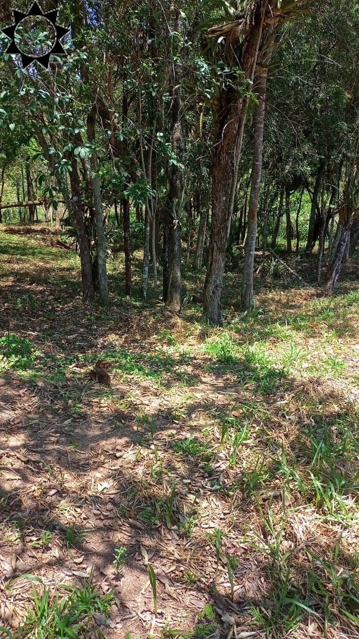 Fazenda à venda com 1 quarto, 1084m² - Foto 1