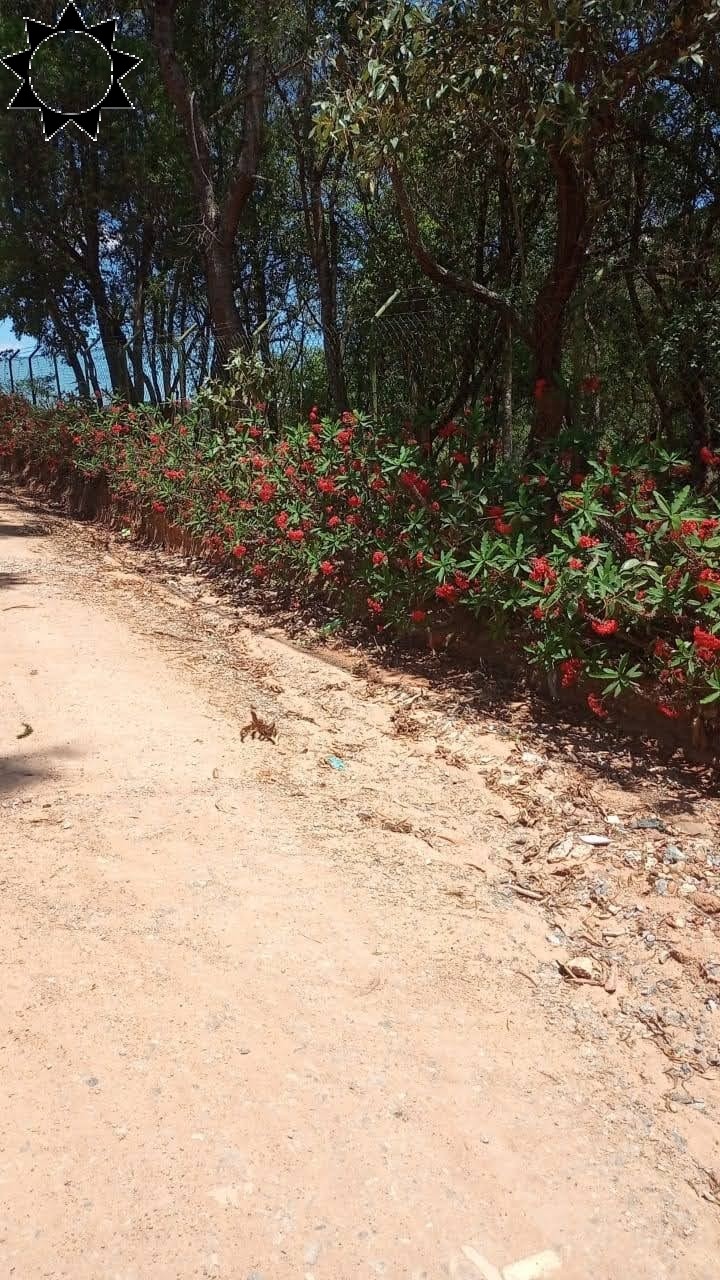 Fazenda à venda com 1 quarto, 1084m² - Foto 6