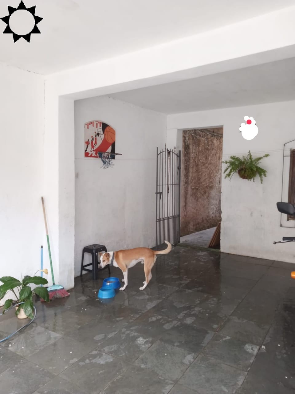 Casa à venda e aluguel com 3 quartos, 125m² - Foto 13