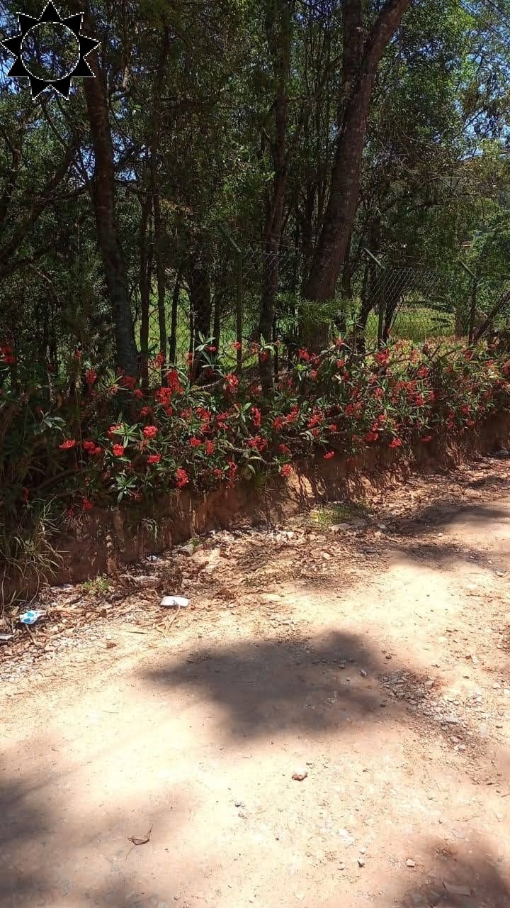 Fazenda à venda com 1 quarto, 1084m² - Foto 5