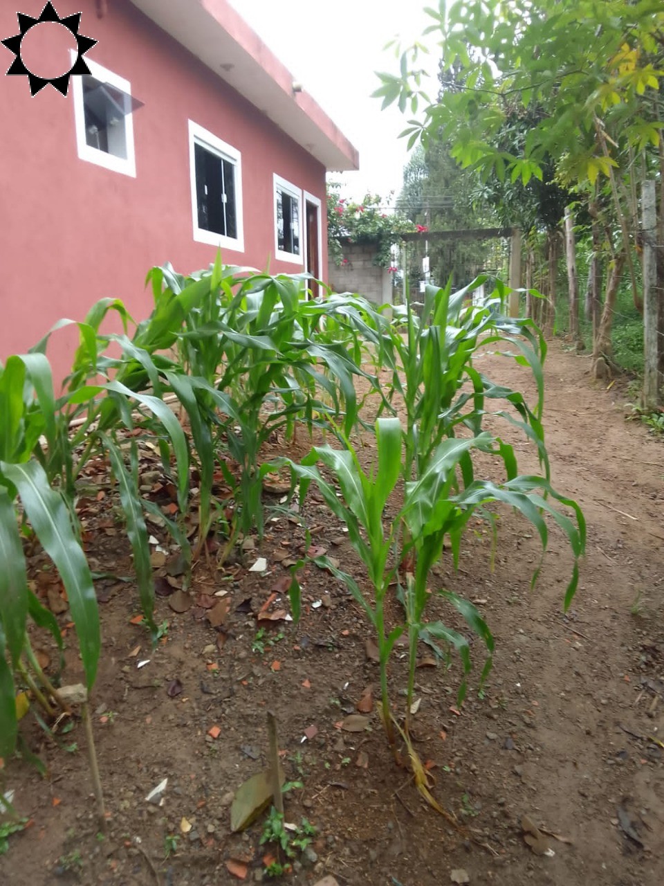 Fazenda à venda com 1 quarto, 40m² - Foto 15