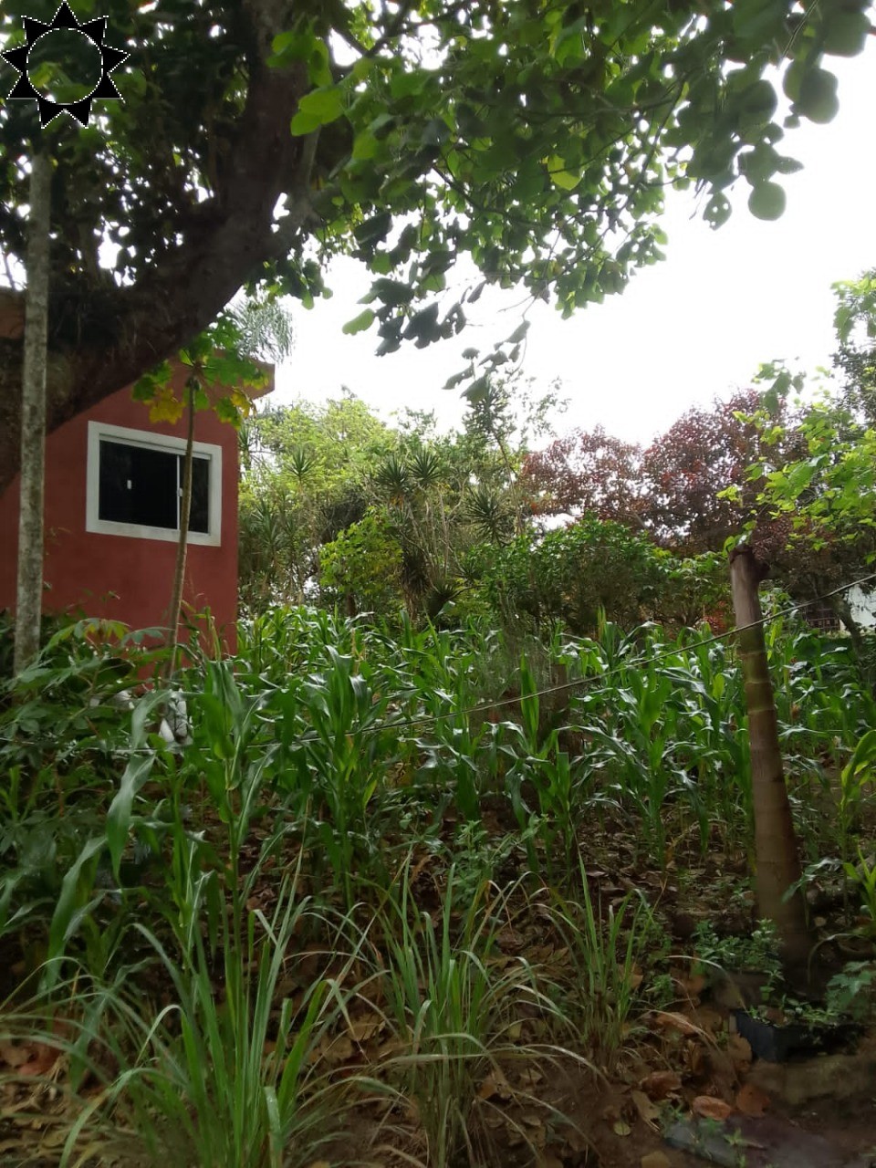 Fazenda à venda com 1 quarto, 40m² - Foto 7