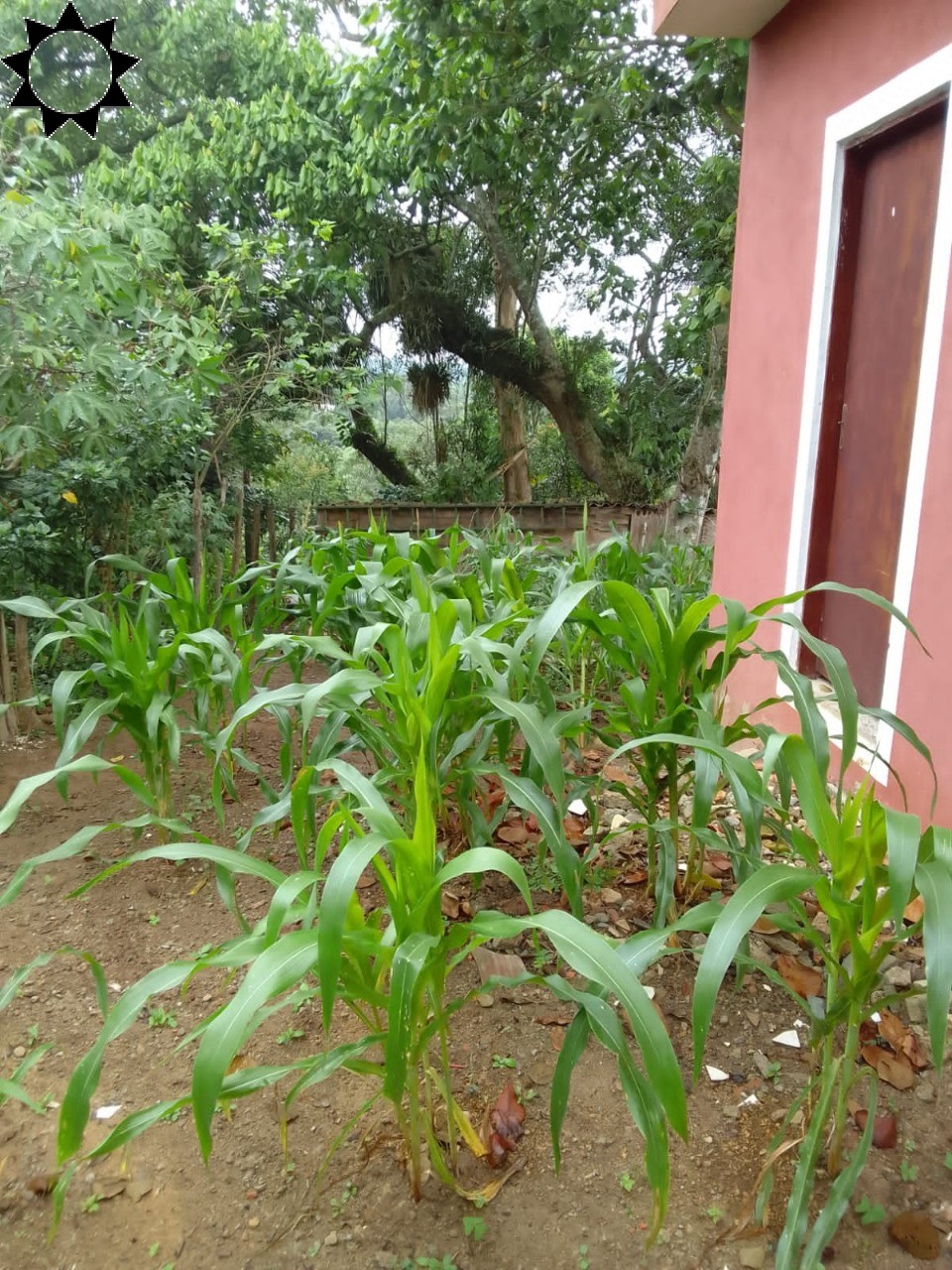 Fazenda à venda com 1 quarto, 40m² - Foto 32