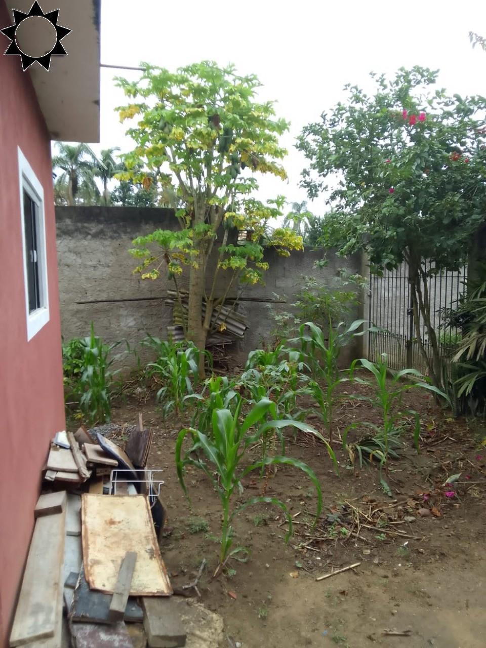 Fazenda à venda com 1 quarto, 40m² - Foto 18