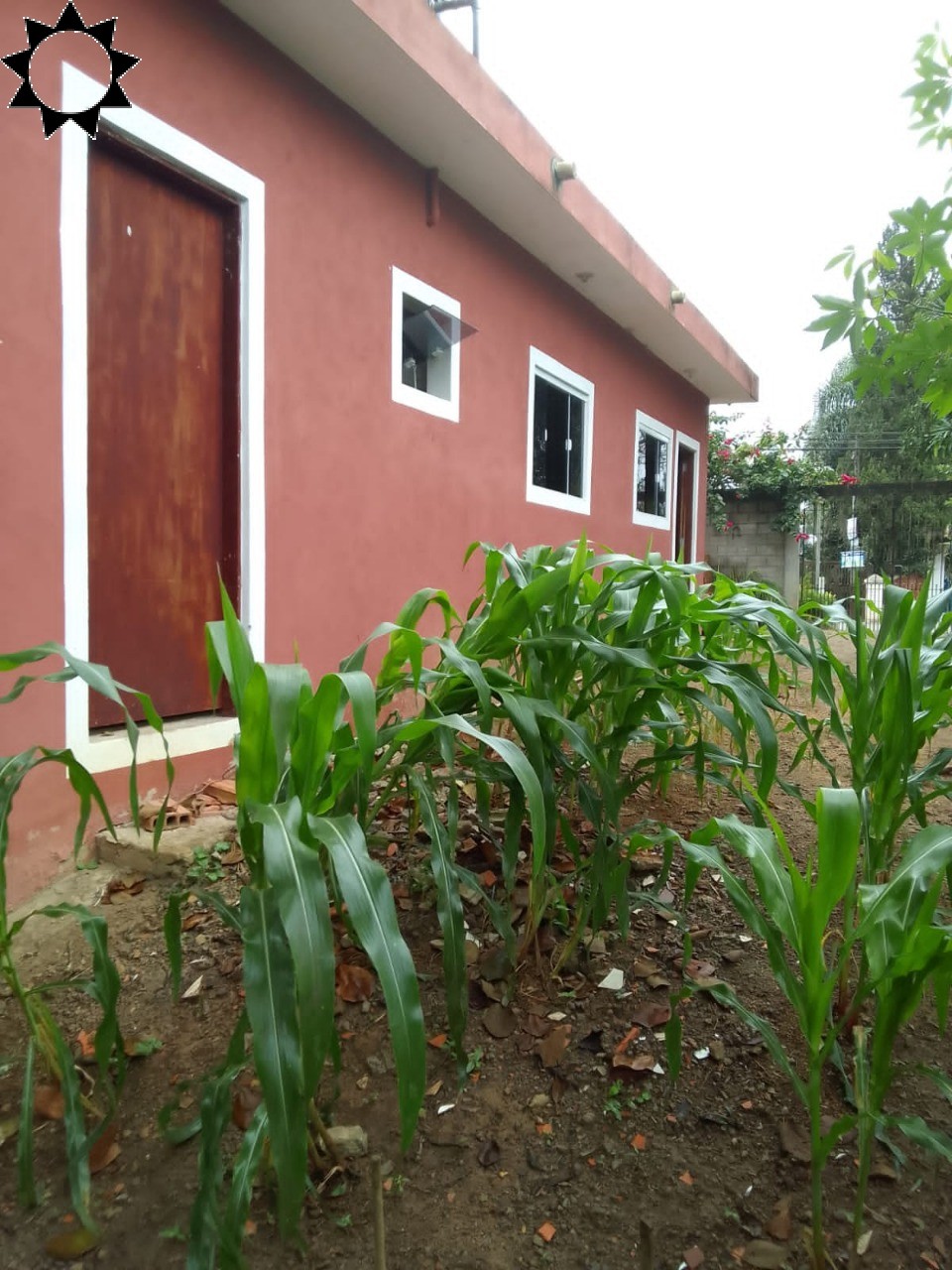 Fazenda à venda com 1 quarto, 40m² - Foto 14