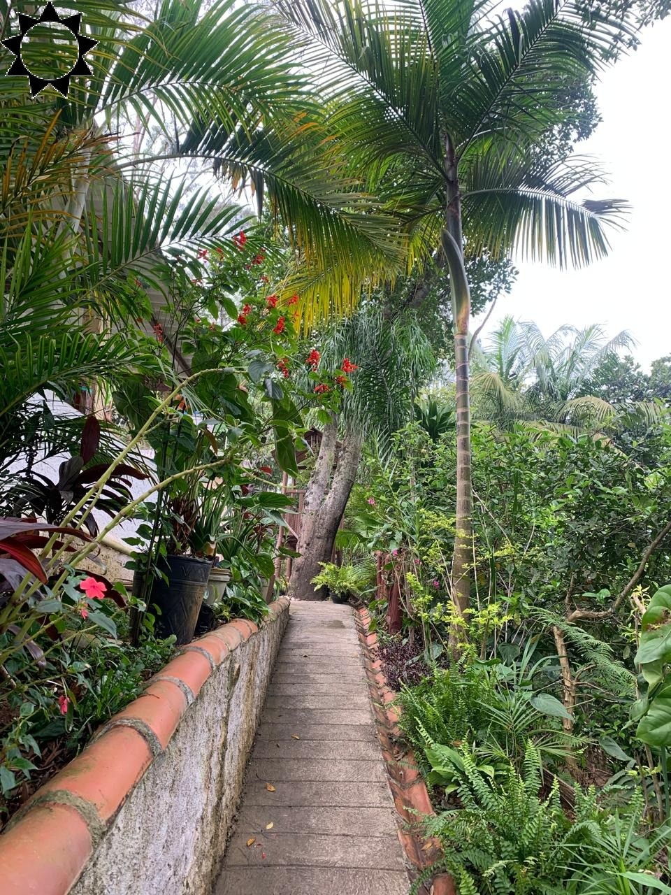 Fazenda à venda com 2 quartos, 100m² - Foto 17