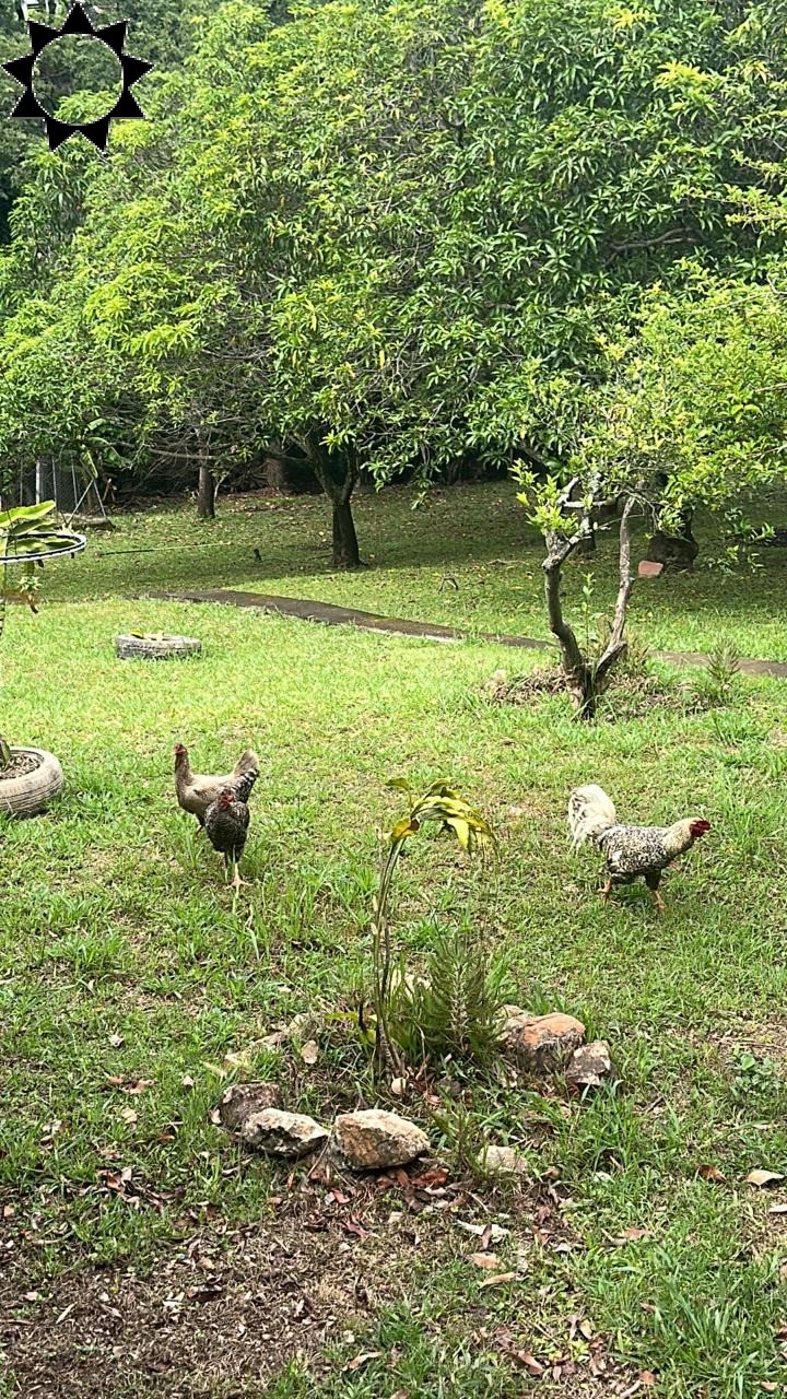 Fazenda à venda com 4 quartos, 250m² - Foto 11