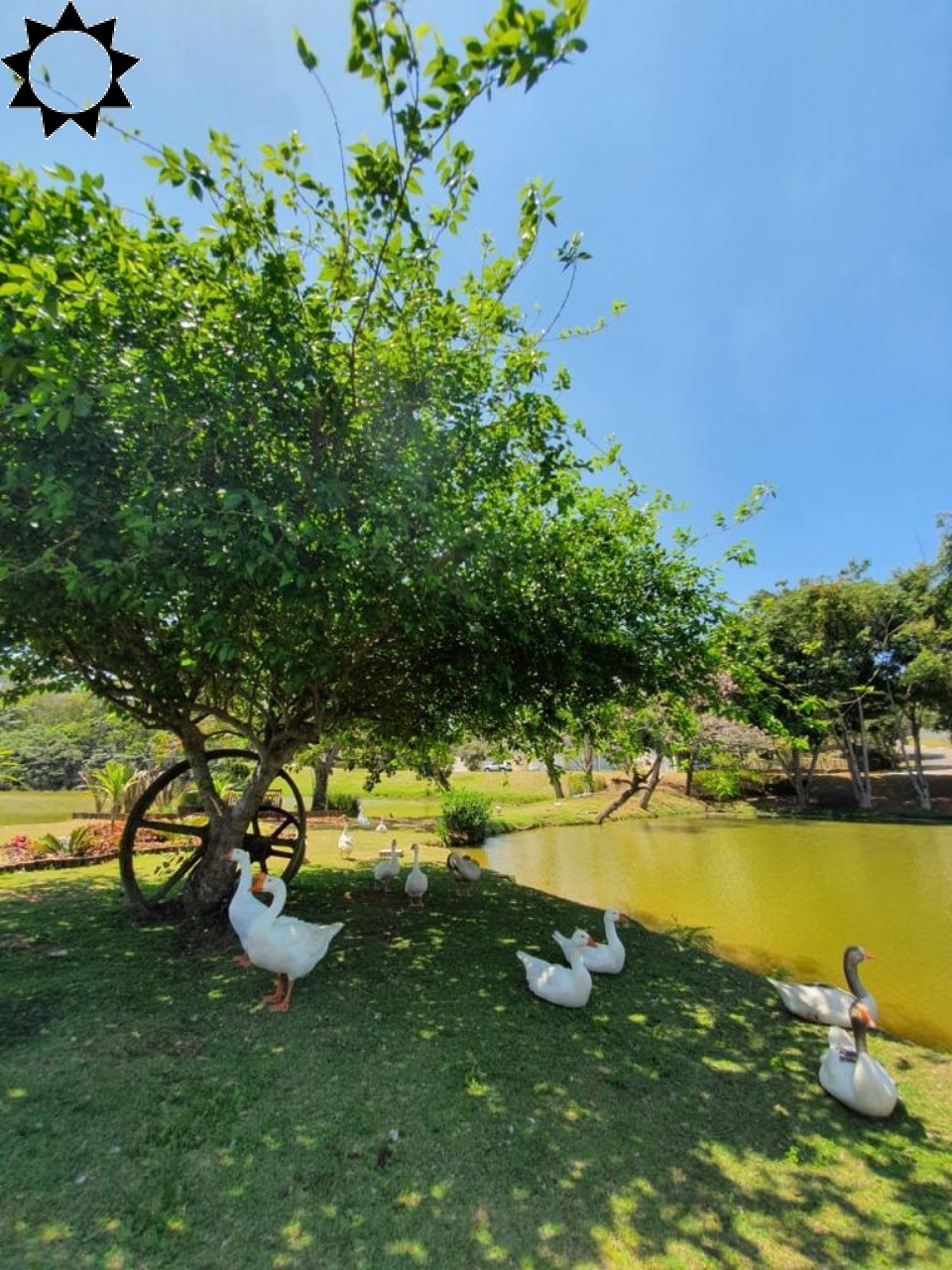 Casa à venda e aluguel com 4 quartos, 1200m² - Foto 5