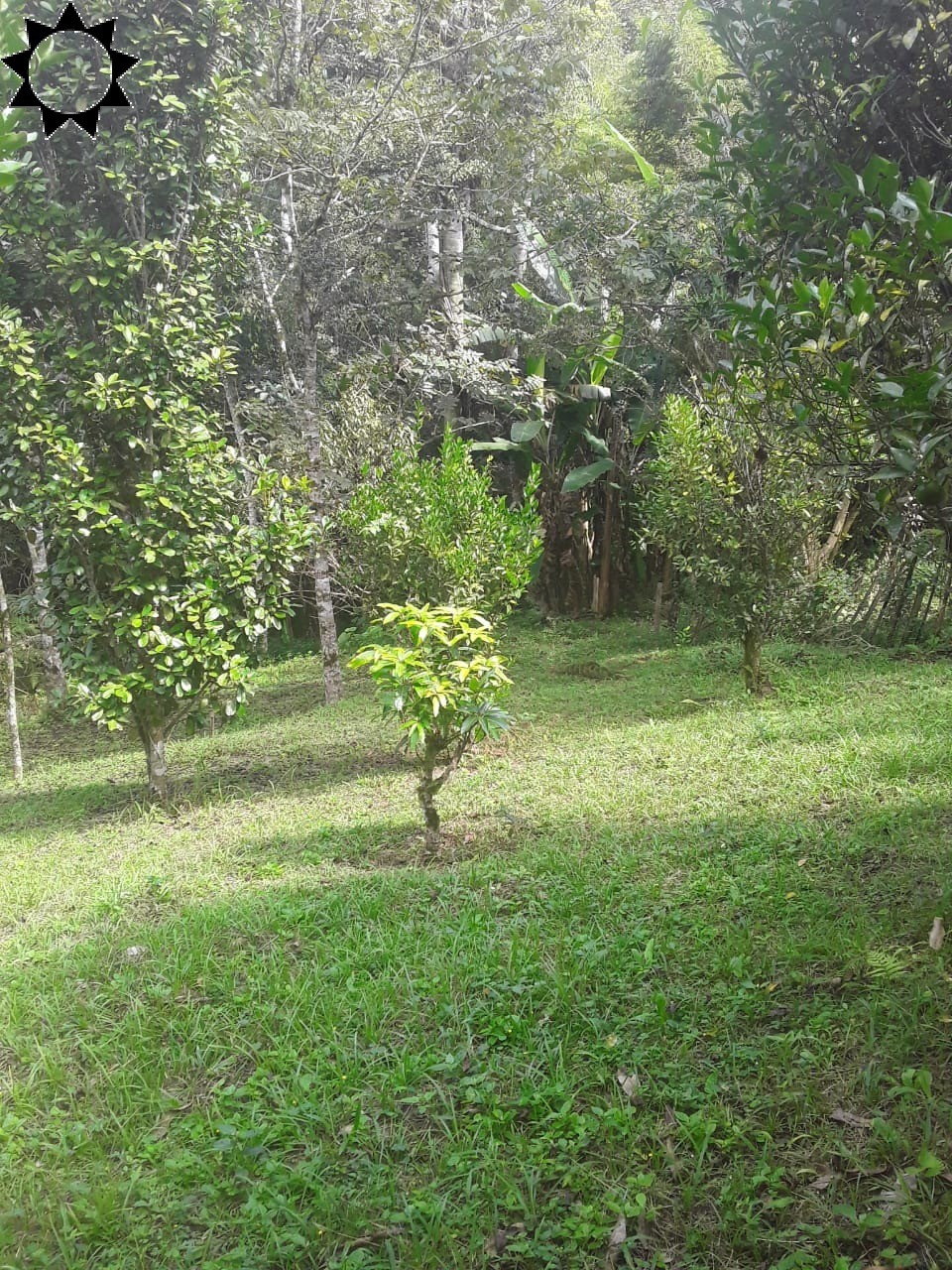 Fazenda à venda com 2 quartos, 100m² - Foto 14