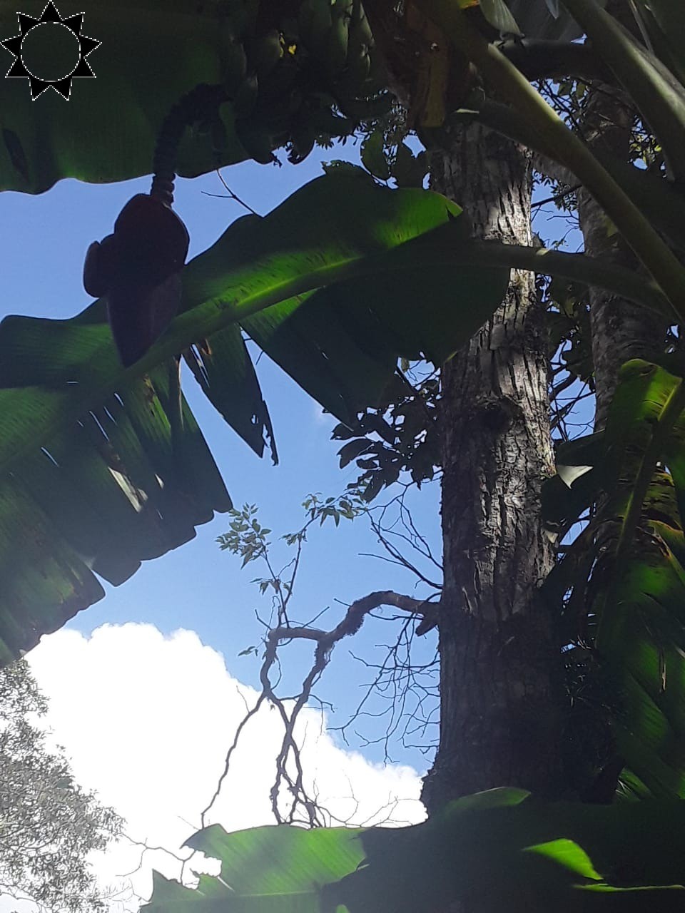 Fazenda à venda com 2 quartos, 100m² - Foto 12