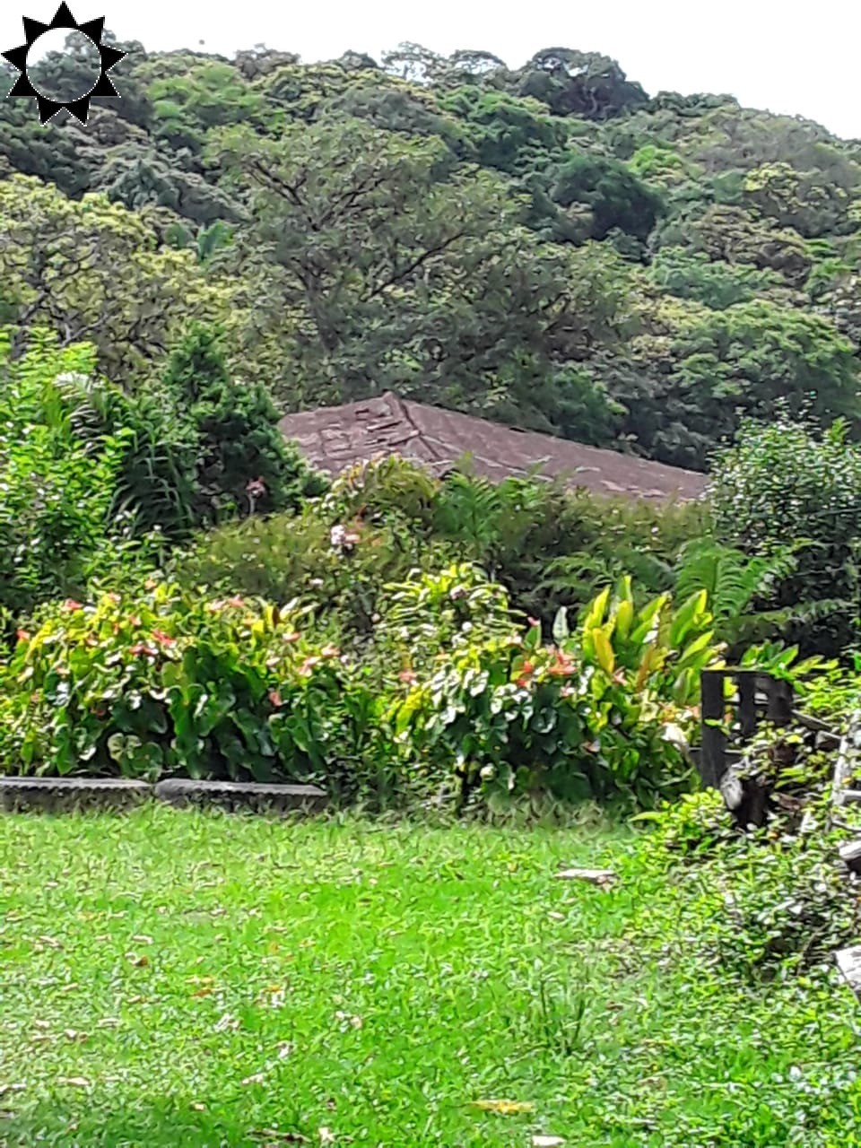 Fazenda-Sítio-Chácara, 2 hectares - Foto 1