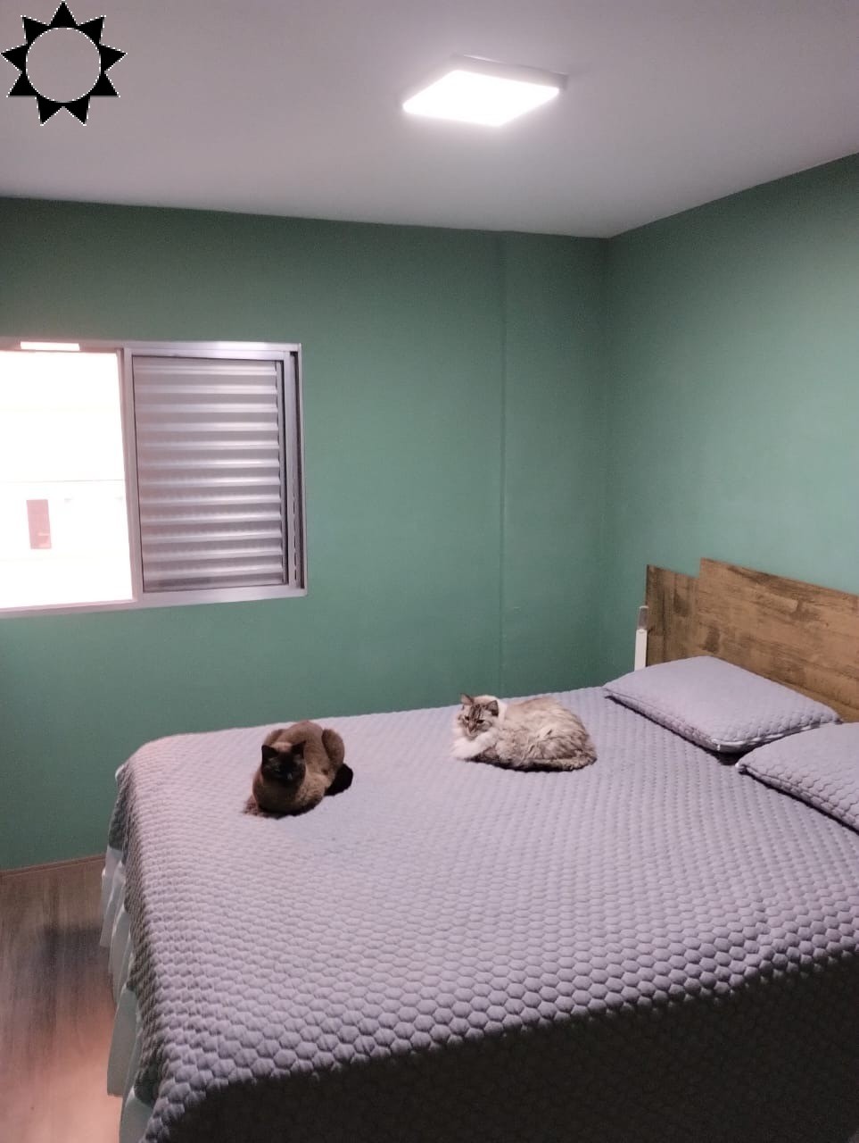 Apartamento à venda com 2 quartos, 55m² - Foto 17