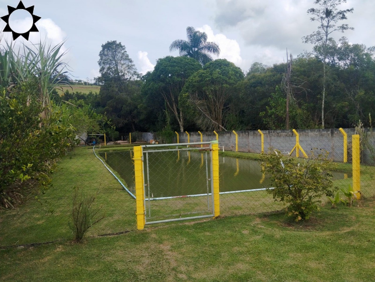 Fazenda à venda com 3 quartos, 350m² - Foto 6