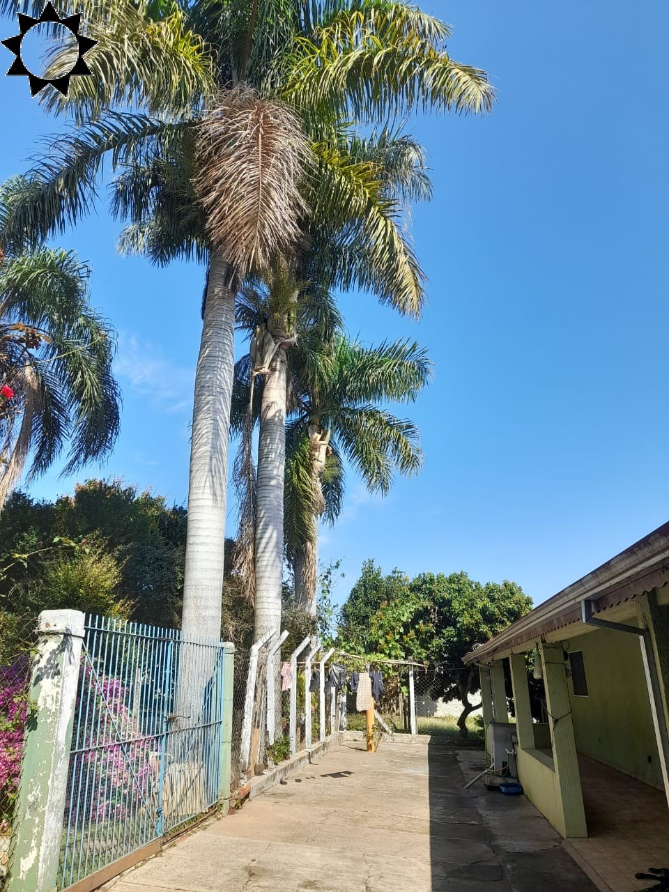 Fazenda à venda com 4 quartos, 100m² - Foto 35