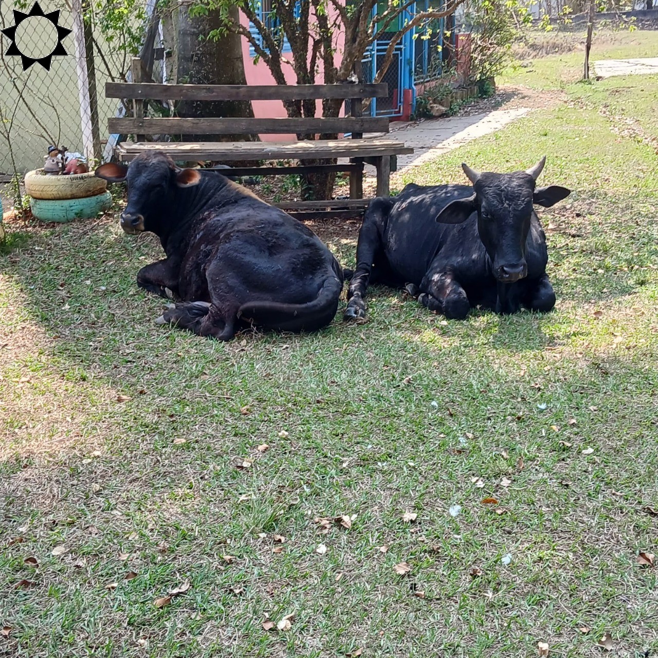 Fazenda à venda com 4 quartos, 100m² - Foto 41