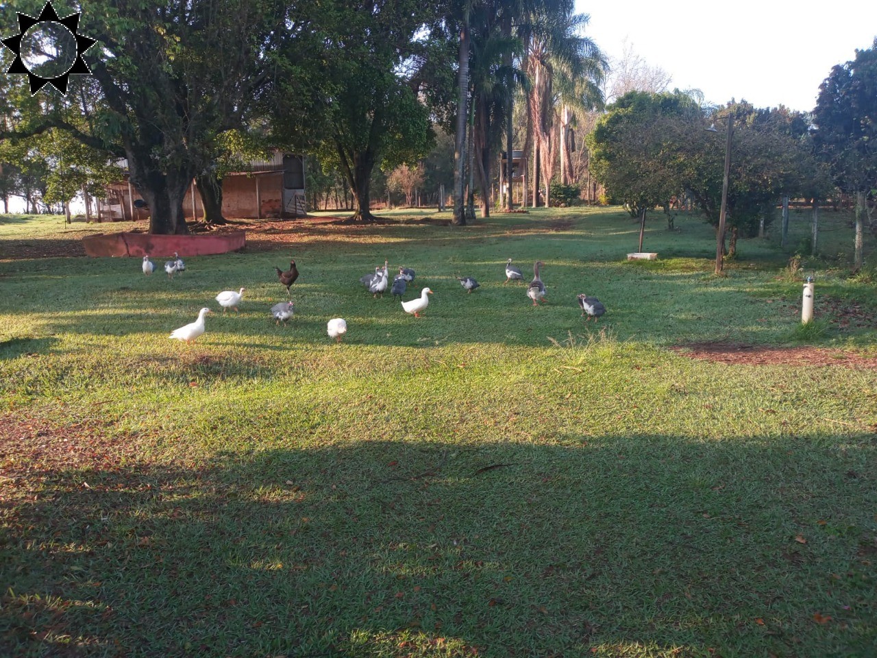 Fazenda à venda com 4 quartos, 100m² - Foto 14