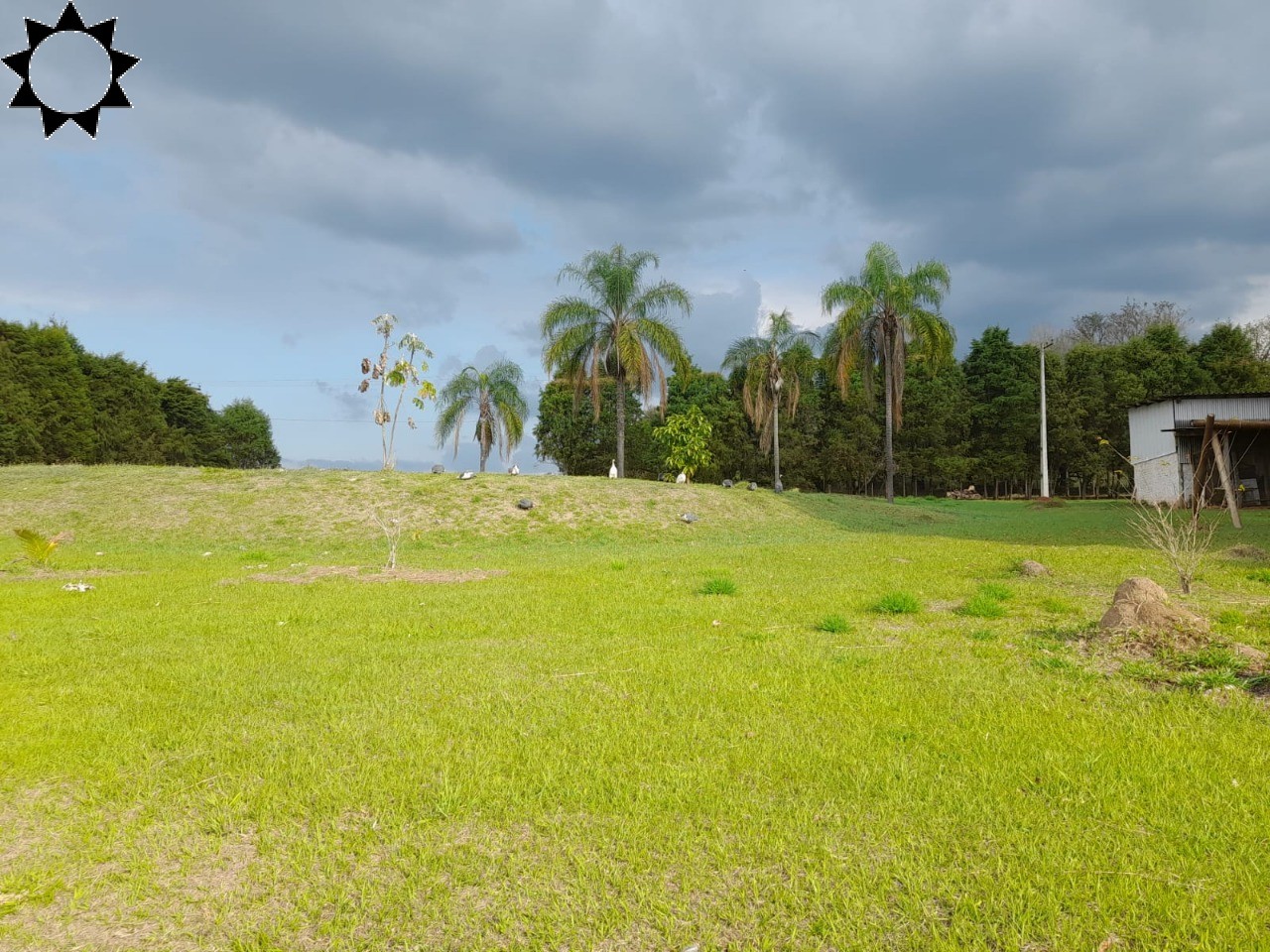 Fazenda à venda com 4 quartos, 100m² - Foto 12