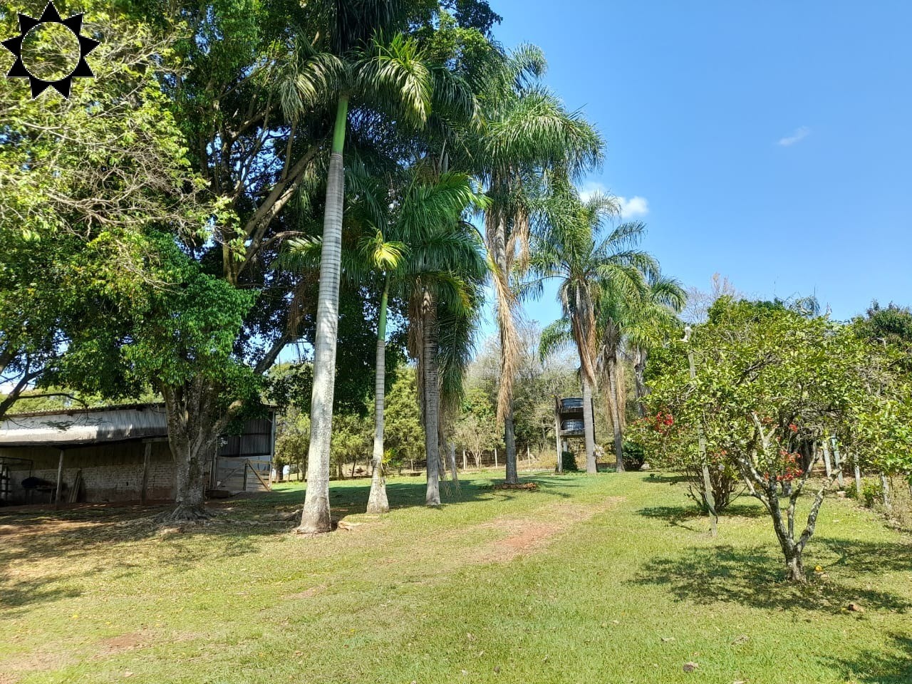 Fazenda à venda com 4 quartos, 100m² - Foto 39