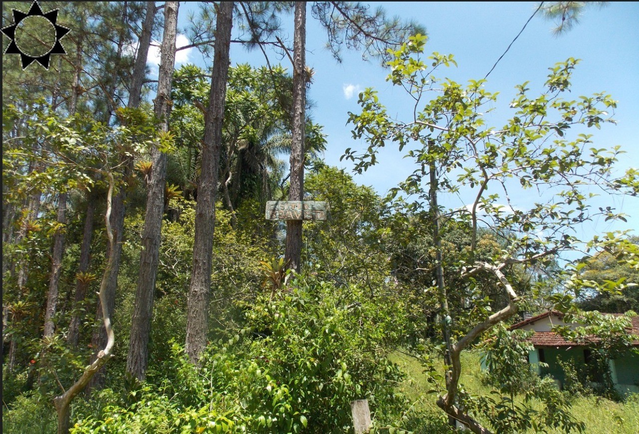 Fazenda à venda com 2 quartos, 50m² - Foto 5