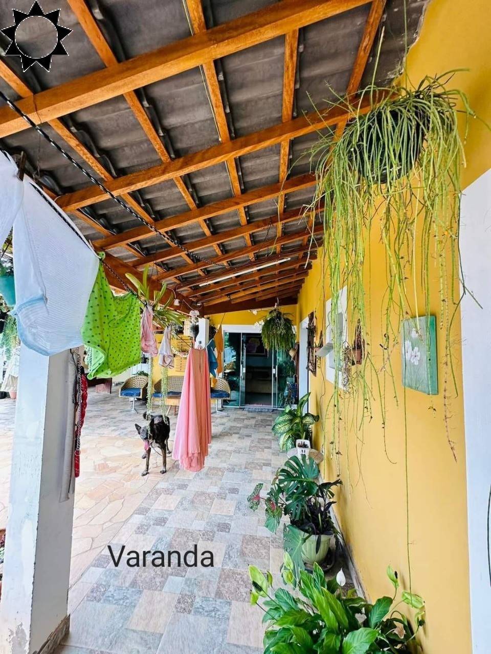 Fazenda à venda com 3 quartos, 162m² - Foto 12