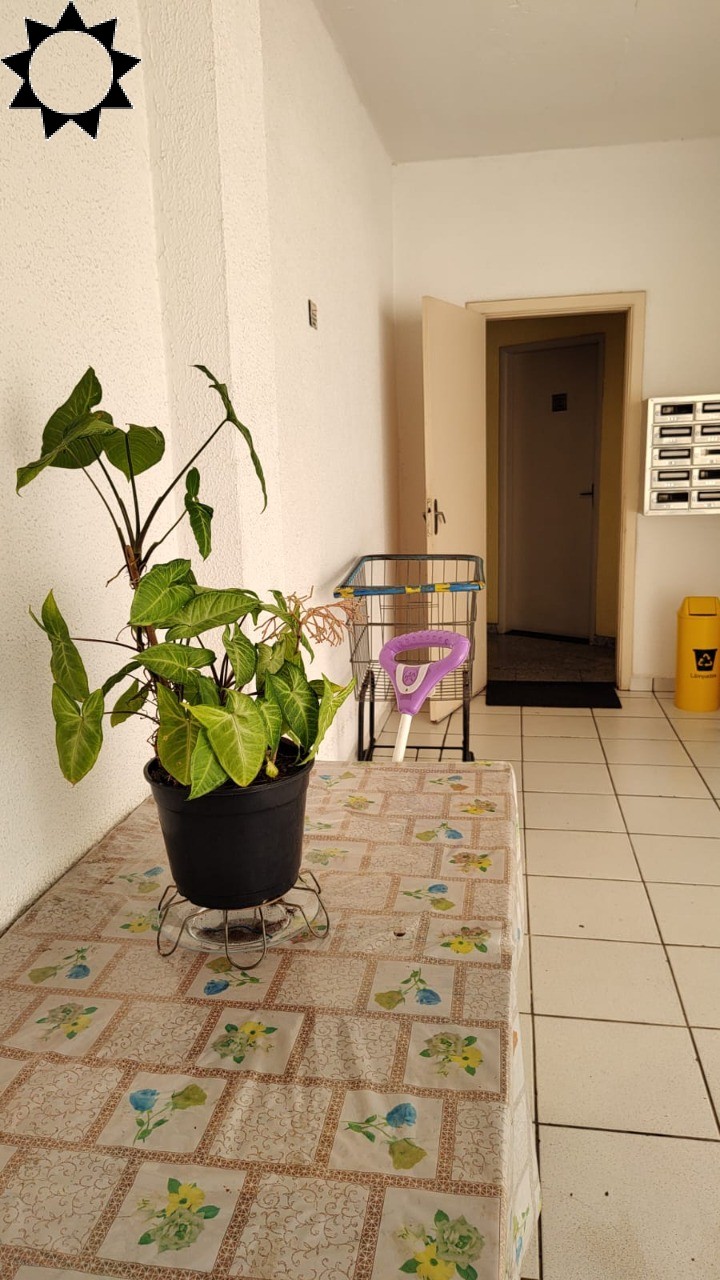 Apartamento à venda com 3 quartos, 80m² - Foto 33