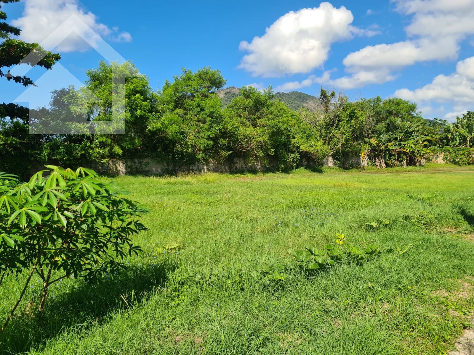 Terreno à venda, 250m² - Foto 5