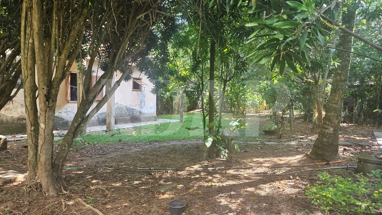 Sítio, 5 quartos, 2000 m² - Foto 7