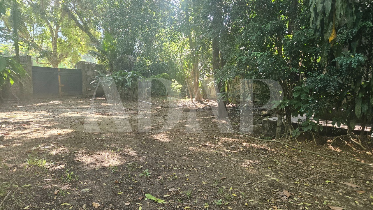 Sítio, 5 quartos, 2000 m² - Foto 8