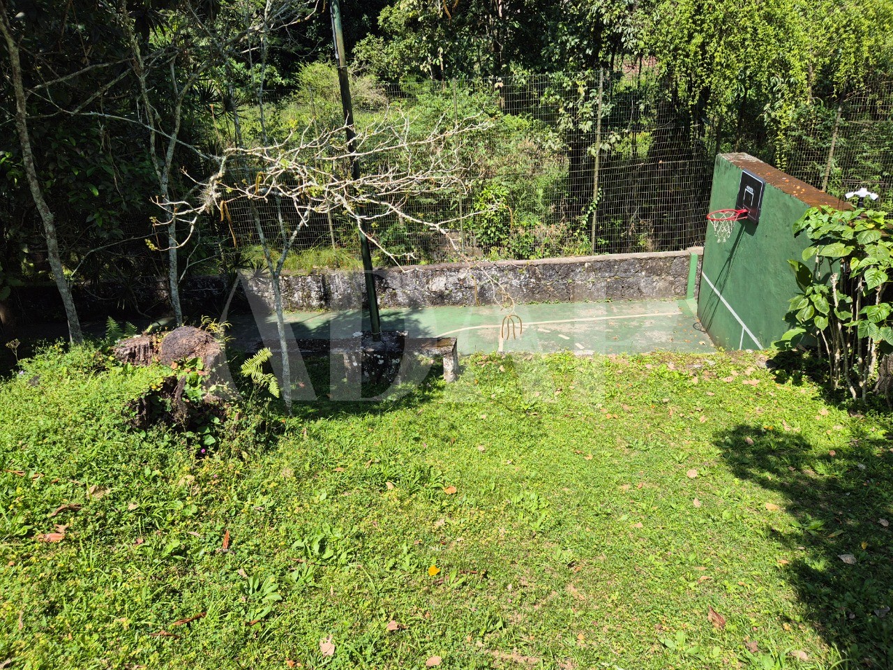 Casa, 4 quartos, 250 m² - Foto 44